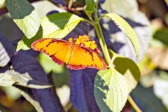 N8E3194_EOS-1D_LaSelva_24Mar2014