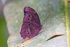 N8E4091_EOS-1D_LaSelva_28Mar2014